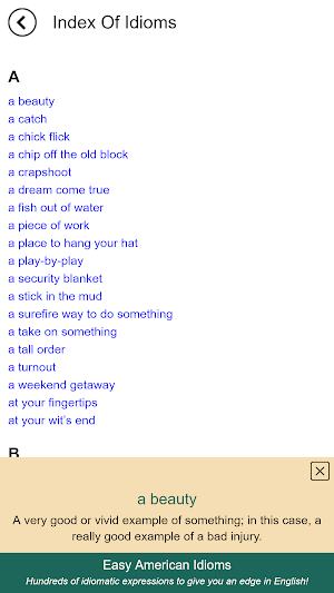Easy American Idioms Screenshot 3