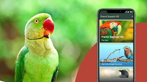 Parrot Sounds - Natural Parrot Sounds Ringtone Screenshot 1