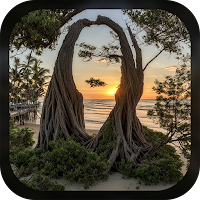 Hidden Face AI -Photo Illusion