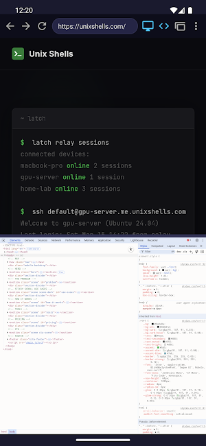 Developer Tools Browser Screenshot 1
