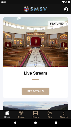 SMSV Screenshot 0