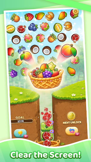 Fruit Drop Puzzle Screenshot 2