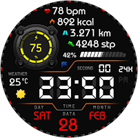 Vortexion Digital Watch Face