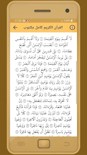 Ramadan Eltokhy Holy Quran Screenshot 2
