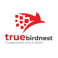 TrueBirdNest