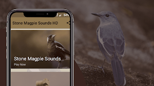 Magpie Sounds - Hunting calls Screenshot 1