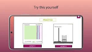 Diffusion and Osmosis Screenshot 3