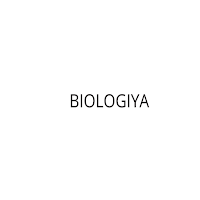 Biologiya 5 6 7 8 9 10 11 sinf