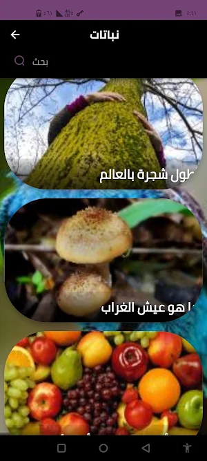 نباتات Screenshot 1