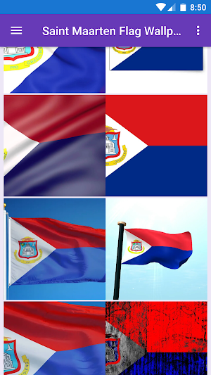 Saint Maarten Flag Wallpaper:F Screenshot 2