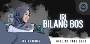 Lagu Dj Iri Bilang Bos Offline Screenshot 0