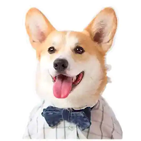 dog stickers