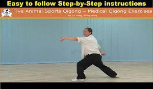 Five Animals Qigong (YMAA) Screenshot 3