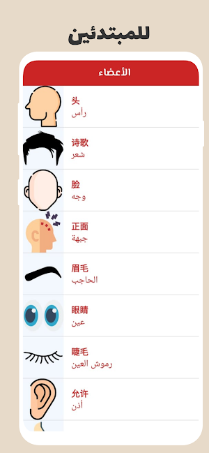 تعلم اللغة االصينية بسهولة Screenshot 2
