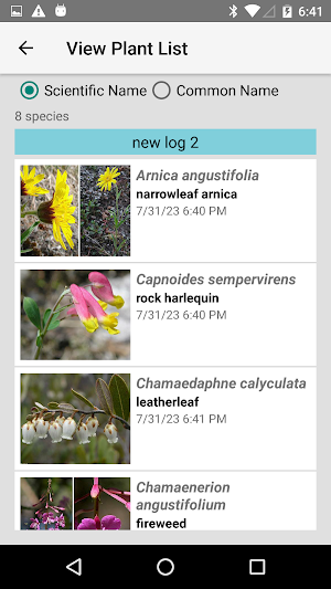NT Wildflowers Screenshot 0