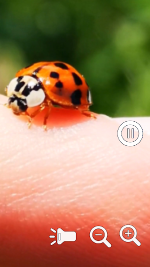 Magnifying Glass Zoom Pro 2 Screenshot 2