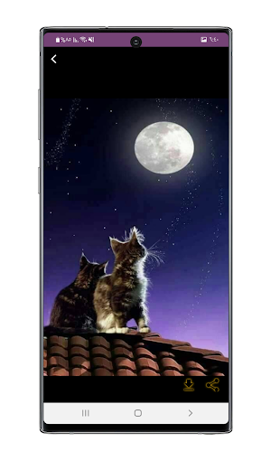 Moon Wallpapers : moon iphone Screenshot 3