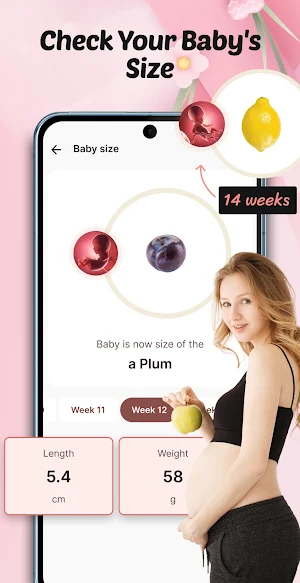 Pregnancy Tracker: Baby Growth Screenshot 1