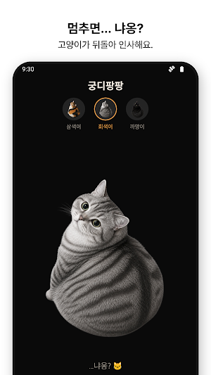 궁디팡팡 — 책상을 두드리면 고양이가 신나요 Screenshot 2