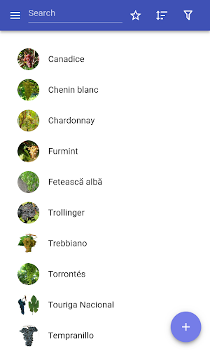Grape varieties Screenshot 0