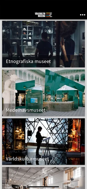 Världskulturmuseerna Screenshot 1
