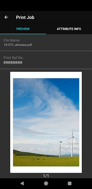 Public Print Screenshot 3