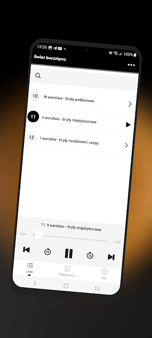 Muzeum Bursztynu Screenshot 2