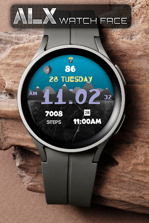 ALX29 LCD Watch Face Screenshot 1