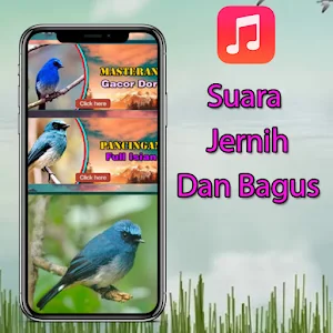 Masteran Selendang Biru Gacor Screenshot 1