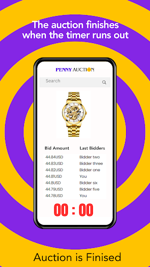 Penny Auction Screenshot 3