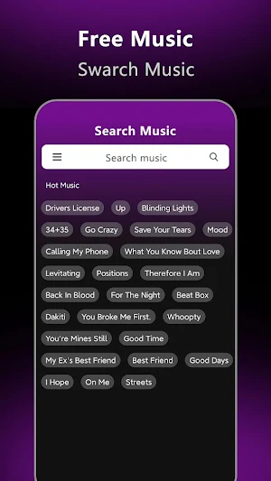 Music Downloader-Song Download Screenshot 0