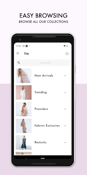 FEHRNVI Screenshot 2