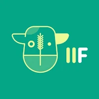 IIF