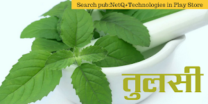 तुलसी (Tulsi) के फायदे और उपचार Screenshot 0
