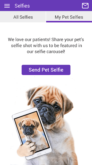 Companion Animal Hospital Screenshot 3
