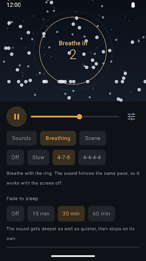 Sleep Sounds - Rain & Fire Screenshot 3