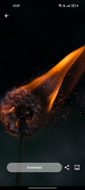 Dark Wallpapers Screenshot 3