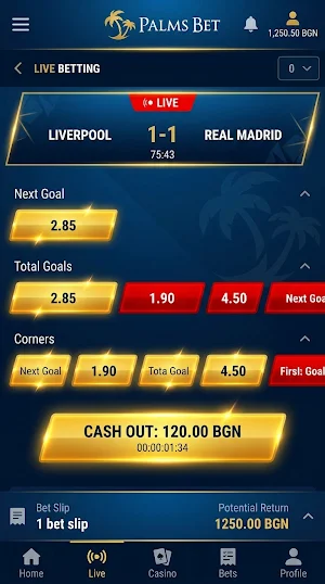 Palms Bet Screenshot 0