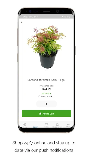 The Garden Corner Store Screenshot 3