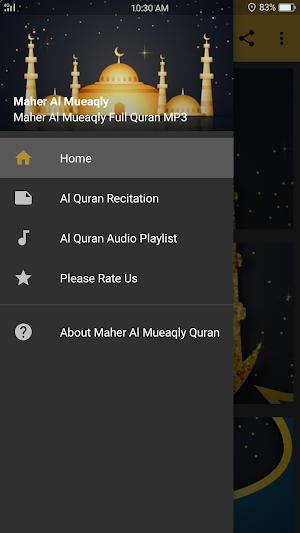 Quran Maher Al Mueaqly Screenshot 0