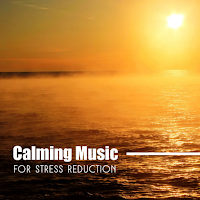 Relaxing Sleep / Study Music