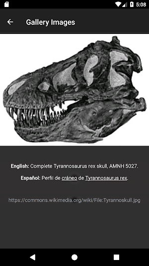 Dinosaurs: Encyclopedia.Description,Photo,Offline Screenshot 3
