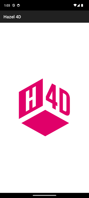 Hazel 4D Screenshot 2