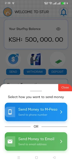 SturPay – Send & Receive Money Screenshot 0