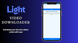 Light Video Downloader Screenshot 1