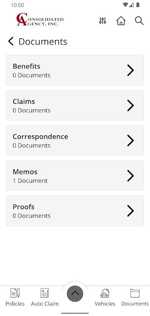 Consolidated Agency Inc Screenshot 2