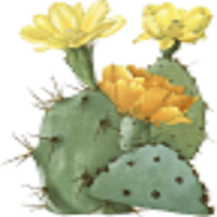 CactiGrow