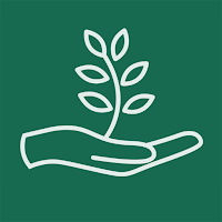 Rooted Physical Therapy