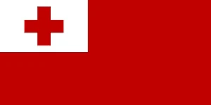Tonga Analog Watch Face Screenshot 2
