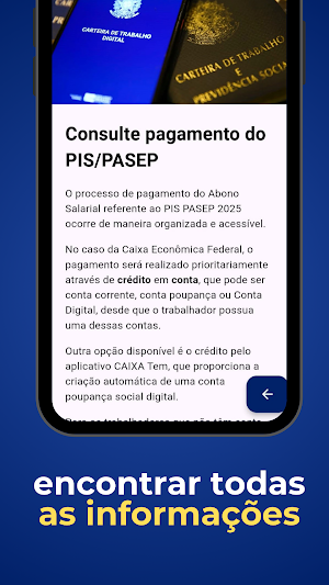 PIS PASEP Consulta Guía Screenshot 3